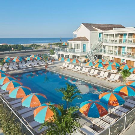 Beach Shack Кеп-Мей Екстер'єр фото